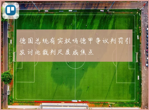 德国总统有实权吗德甲争议判罚引发讨论裁判尺度成焦点