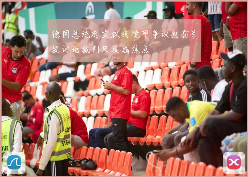 德国总统有实权吗德甲争议判罚引发讨论裁判尺度成焦点