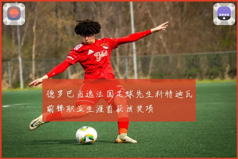 德罗巴当选法国足球先生科特迪瓦前锋职业生涯首获该奖项