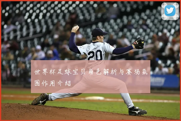 世界杯足球宝贝角色解析与赛场氛围作用介绍