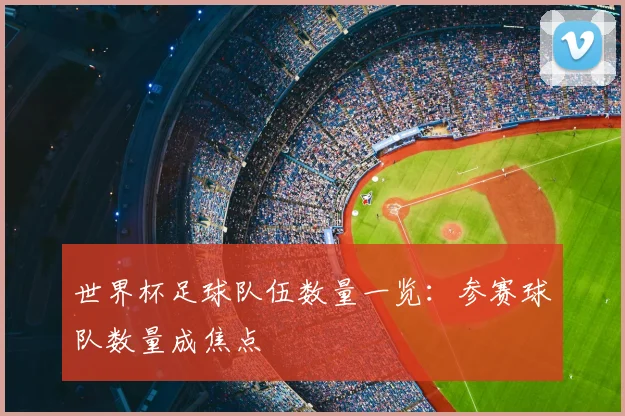 世界杯足球队伍数量一览：参赛球队数量成焦点