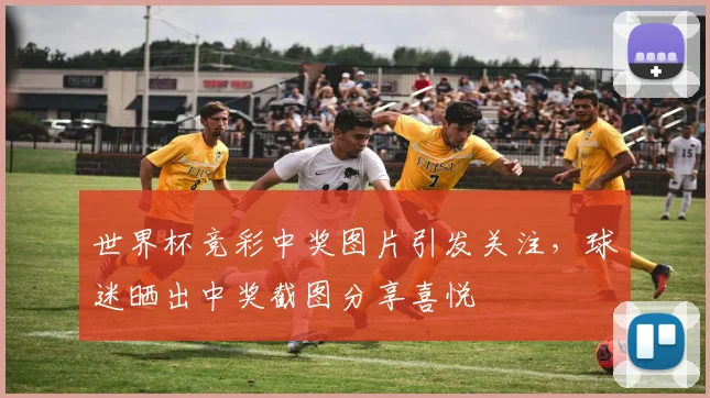 世界杯竞彩中奖图片引发关注，球迷晒出中奖截图分享喜悦