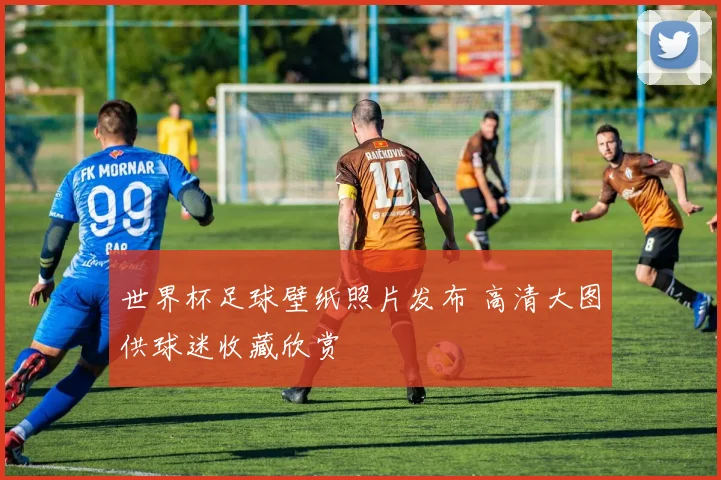 世界杯足球壁纸照片发布 高清大图供球迷收藏欣赏
